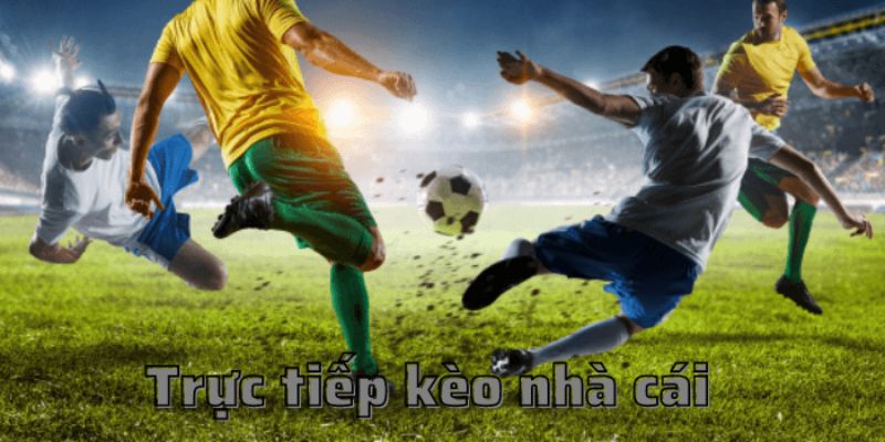 Tỷ lệ kèo nhà cái Net88 là gì